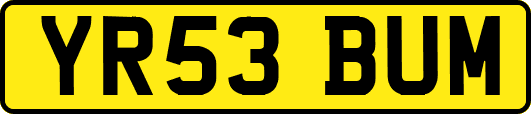 YR53BUM