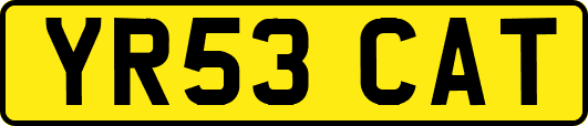 YR53CAT