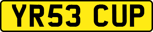 YR53CUP