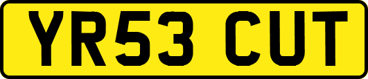 YR53CUT