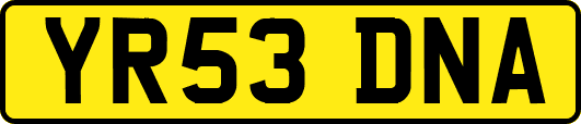 YR53DNA