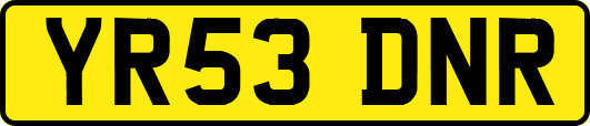 YR53DNR