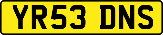 YR53DNS