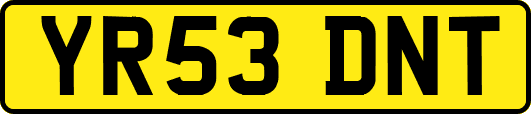 YR53DNT