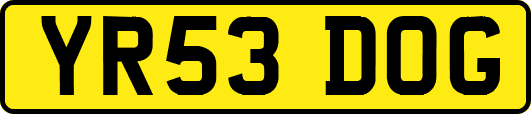 YR53DOG