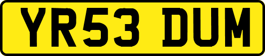 YR53DUM