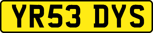 YR53DYS