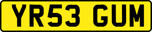 YR53GUM