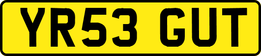 YR53GUT