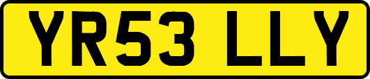 YR53LLY