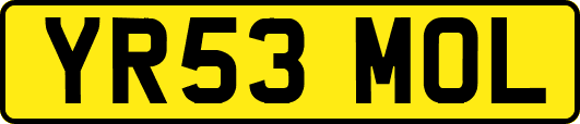 YR53MOL