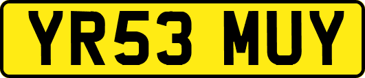 YR53MUY