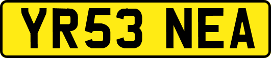 YR53NEA