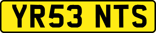 YR53NTS