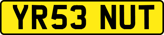 YR53NUT
