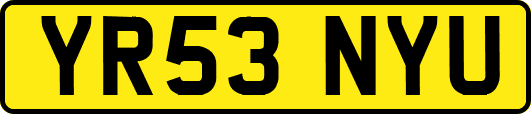 YR53NYU