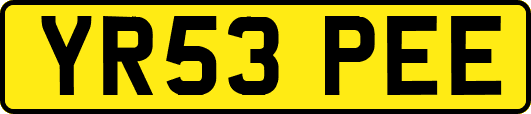 YR53PEE