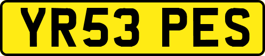 YR53PES