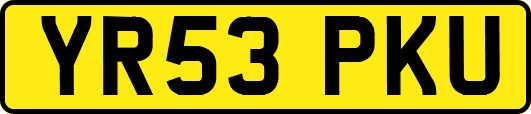 YR53PKU