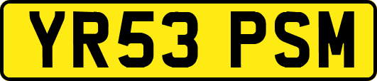 YR53PSM