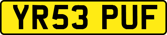 YR53PUF