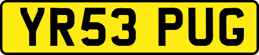 YR53PUG