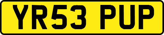 YR53PUP