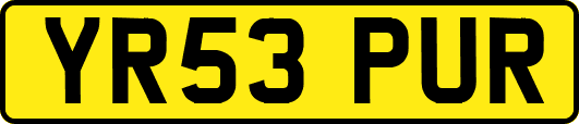 YR53PUR