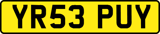 YR53PUY