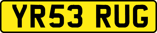 YR53RUG