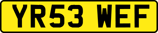 YR53WEF