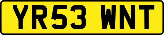 YR53WNT