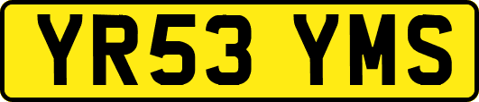 YR53YMS