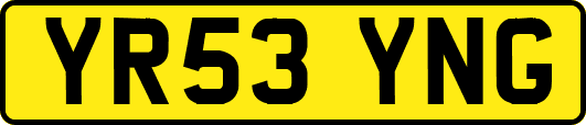 YR53YNG