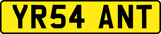 YR54ANT