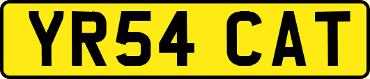 YR54CAT