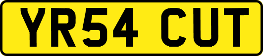 YR54CUT