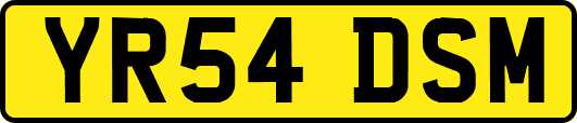YR54DSM