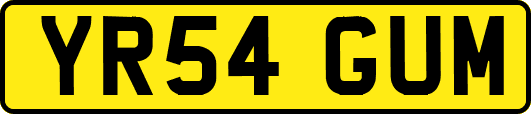 YR54GUM