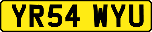 YR54WYU