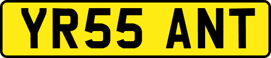 YR55ANT