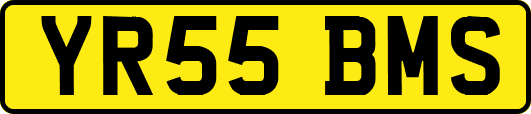 YR55BMS