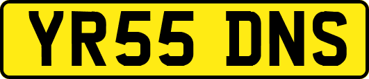 YR55DNS