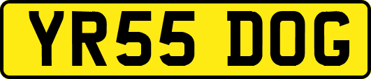 YR55DOG