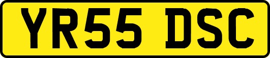 YR55DSC
