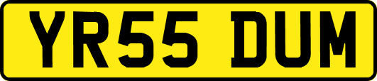YR55DUM