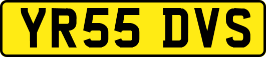 YR55DVS