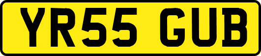 YR55GUB