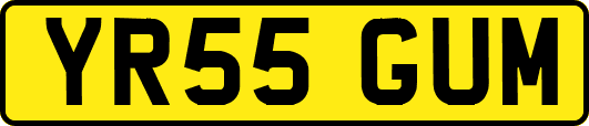 YR55GUM