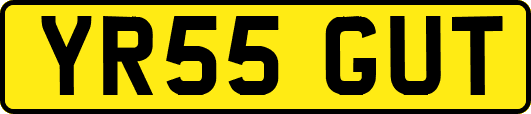 YR55GUT